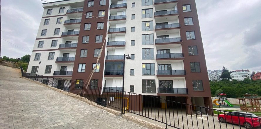 Daire 1+1 Trabzon, Türkiye №228503