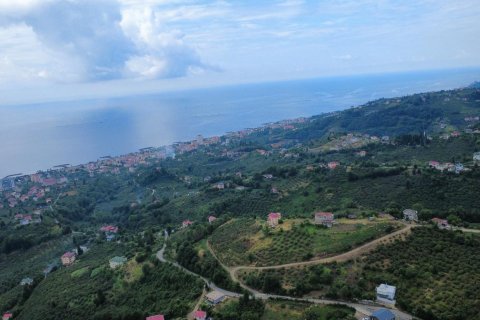 Продажа земельного участка  в Вакфыкебире, Трабзоне, Турция, №228476 – фото 7