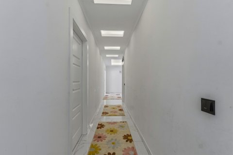 Lejlighed  i Alanya, Antalya, Tyrkiet Nr. 221802 - 22