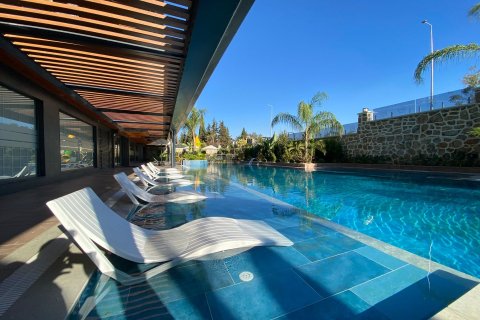 Apartment for sale  in Alanya, Antalya, Turkey, 1 bedroom, 50m2, No. 216408 – photo 19