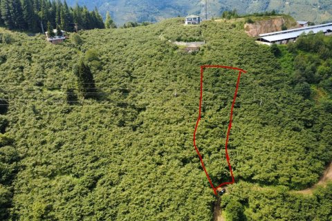 Tomt  i Arsin, Trabzon, Tyrkia Nr. 232192 - 5