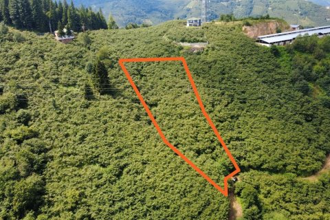 Tomt  i Arsin, Trabzon, Tyrkia Nr. 232192 - 3
