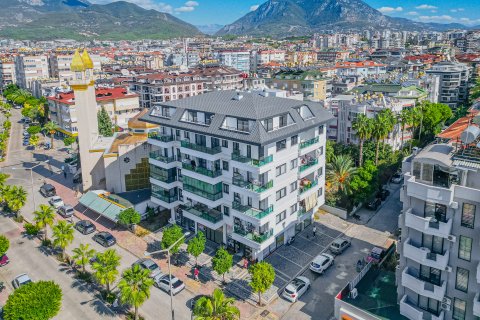 Gewerbeimmobilien  in Alanya, Antalya, Türkei Nr. 212213 - 2