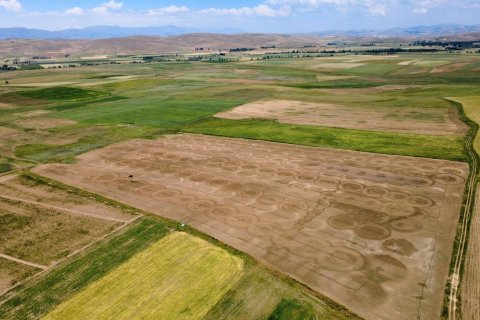 Tömma i Bayburt, Turkiet Nr. 228573 - 5