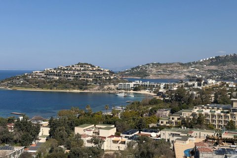 3+1 Villa  in Yalikavak, Mugla, Türkei Nr. 221804 - 20