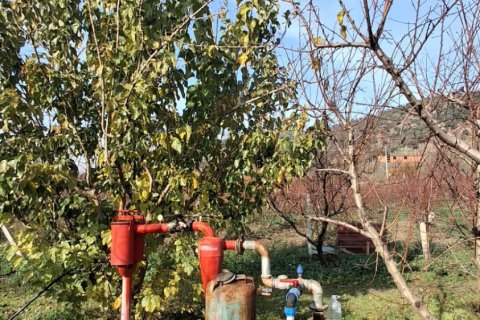 Tom  i Selcuk, Izmir, Tyrkiet Nr. 223234 - 17