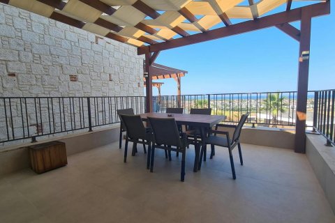   in Kusadasi, Aydin, Türkei Nr. 232422 - 5