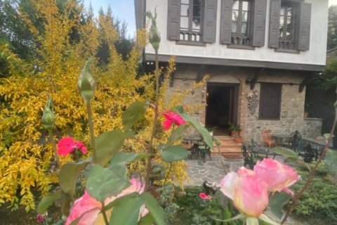 Forretning  i Selcuk, Izmir, Tyrkiet Nr. 223235 - 11