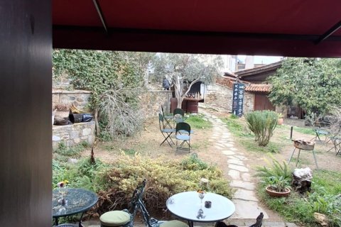 Forretning  i Selcuk, Izmir, Tyrkiet Nr. 223235 - 12