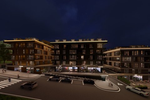 4+1 Wohnung  in Beykoz, Istanbul, Türkei Nr. 221089 - 5