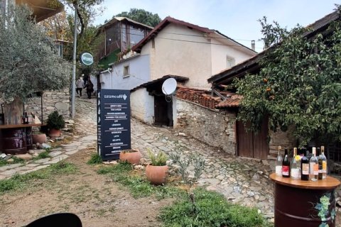 Forretning  i Selcuk, Izmir, Tyrkiet Nr. 223235