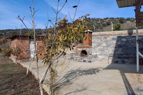 Tom  i Selcuk, Izmir, Tyrkiet Nr. 223234 - 23