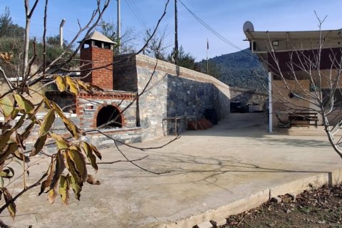 Tom  i Selcuk, Izmir, Tyrkiet Nr. 223234 - 24