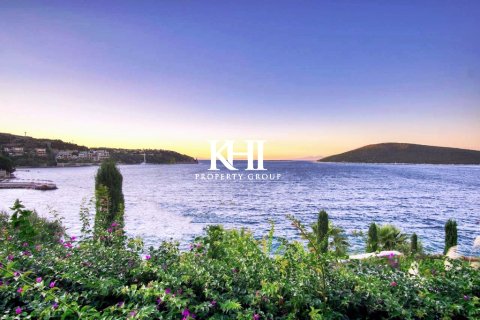 ویلا در Turkbuku ، ترکیه 4 خوابه ، 350 متر مربع. شماره 215746 - 6