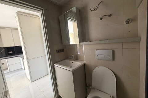 آپارتمان در  Mahmutlar ، ترکیه 1 خوابه ، 55 متر مربع.  شماره 224363 - 10