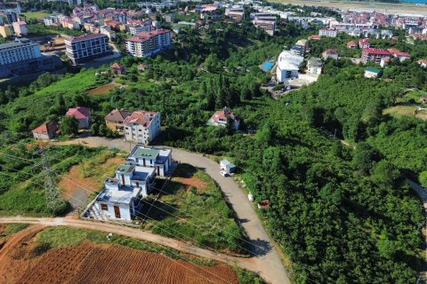 Tömma i Trabzon, Turkiet Nr. 228566 - 4