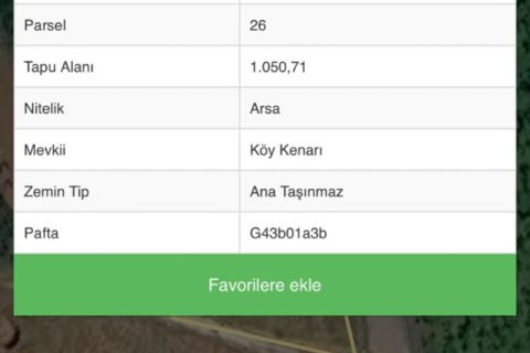 Tömma i Trabzon, Turkiet Nr. 228566 - 6