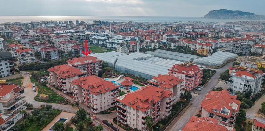 Daire Oba, Antalya, Türkiye №221482