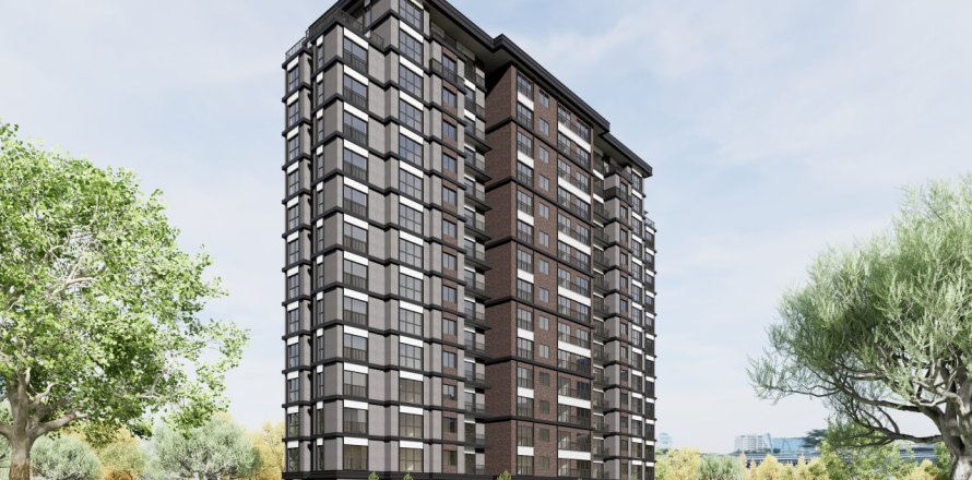 Квартира  1+1 в Зейтинбурну, Стамбул, Турция №215066