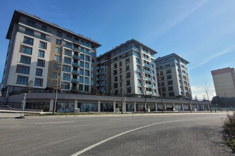 Daire  2+1  İstanbul, Türkiye №221658