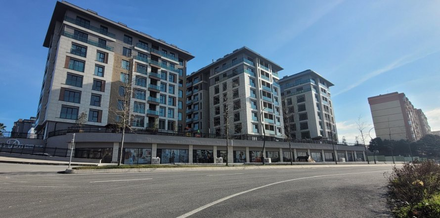 Daire  2+1  İstanbul, Türkiye №221658