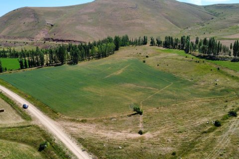 Tömma i Bayburt, Turkiet Nr. 228571 - 3