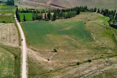 Tömma i Bayburt, Turkiet Nr. 228571 - 4