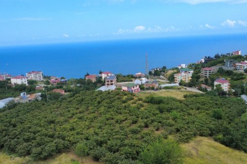 10+2 Villa i Trabzon, Turkiet Nr. 228880 - 3
