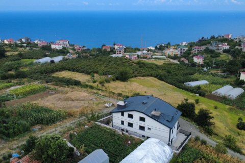 10+2 Villa i Trabzon, Turkiet Nr. 228880 - 4
