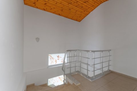 ویلا در Tepe،  Alanya ، ترکیه 190 متر مربع.  شماره 221478 - 20