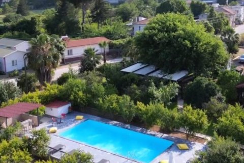 Hotel  i Antalya, Tyrkiet Nr. 227343 - 2