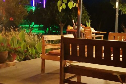 Hotel  i Antalya, Tyrkiet Nr. 227343 - 5