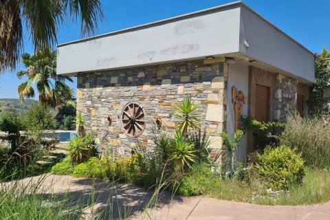 in Kusadasi, Aydin, Türkei Nr. 228649 - 27