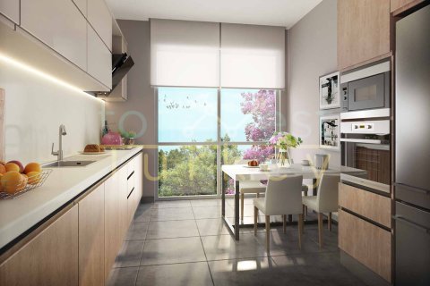 2+0 Leilighet i Besiktas, Istanbul, Tyrkia Nr. 227293 - 9