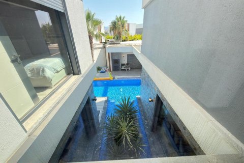 in Kusadasi, Aydin, Türkei Nr. 228661 - 8
