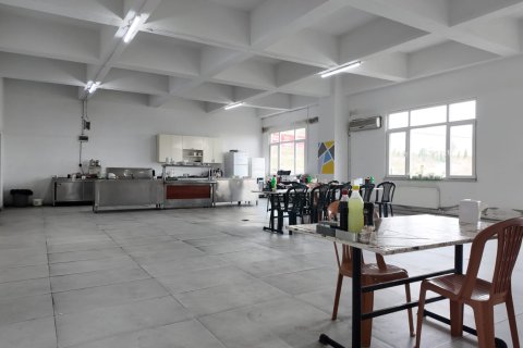 Erhvervsejendom  i Balikesir, Tyrkiet Nr. 223251 - 14