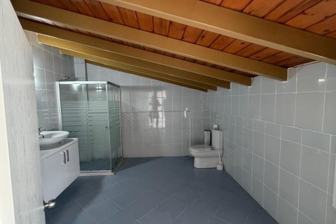 Kuşadası, Aydın, Türkiye №226682 - 5