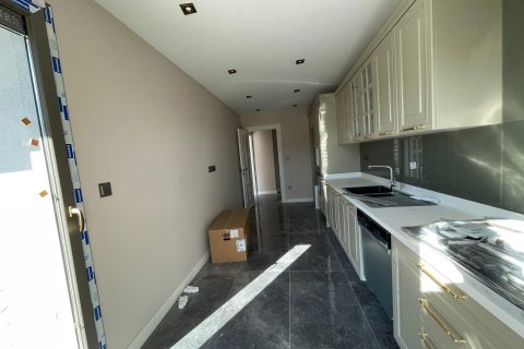 4+1 Wohnung  in Basaksehir, Istanbul, Türkei Nr. 212416 - 11