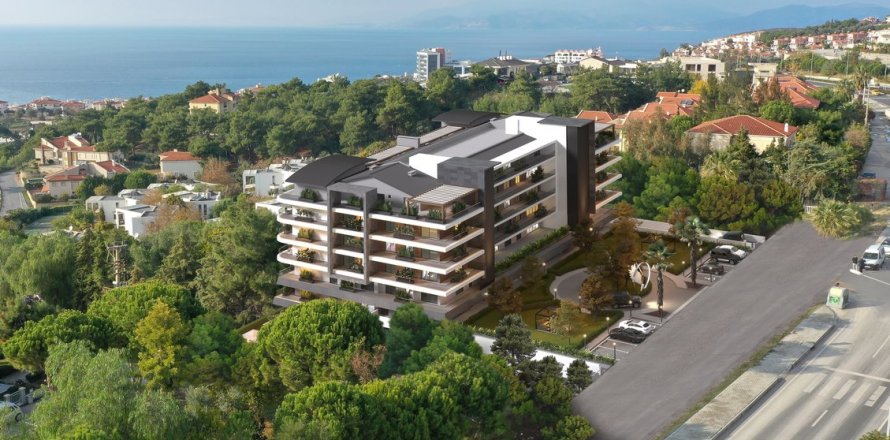 in Kusadasi, Aydin, Turkey No. 228664