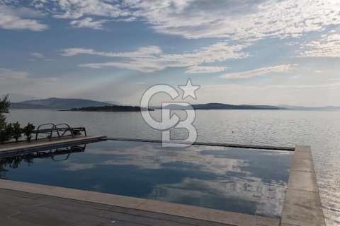 5+2 Villa i Izmir, Tyrkia Nr. 212713 - 2