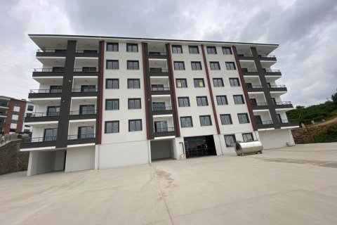 Daire 2+1 Trabzon, Türkiye №228513