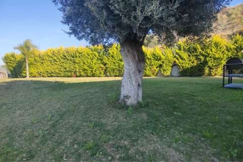 4+1 Villa  in Turgutreis, Mugla, Türkei Nr. 223275 - 20