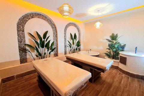 1+1 Lejlighed i Alanya, Antalya, Tyrkiet Nr. 228519 - 26