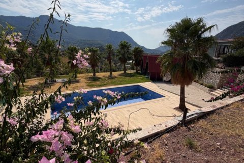 Hotel  i Antalya, Tyrkiet Nr. 232179 - 7