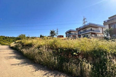Tömma i Trabzon, Turkiet Nr. 228566 - 12