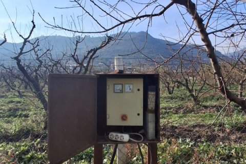 Tom  i Selcuk, Izmir, Tyrkiet Nr. 223234 - 14