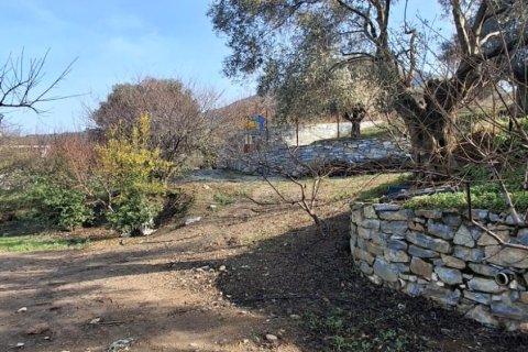 Tom  i Selcuk, Izmir, Tyrkiet Nr. 223234 - 13