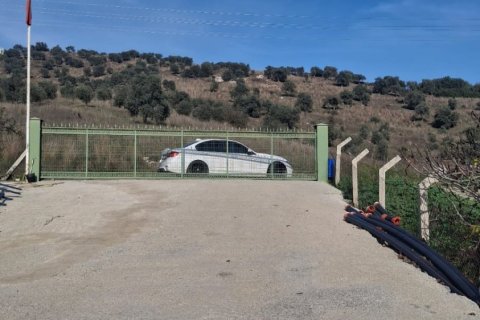 Tom  i Selcuk, Izmir, Tyrkiet Nr. 223234 - 11