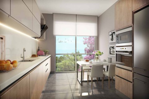 1+1 Lejlighed  i Besiktas, Istanbul, Tyrkiet Nr. 221129 - 4