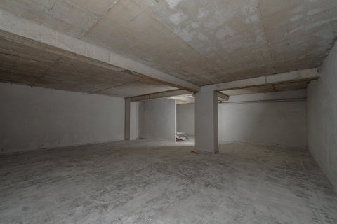 Gewerbeimmobilien  in Alanya, Antalya, Türkei Nr. 212213 - 20